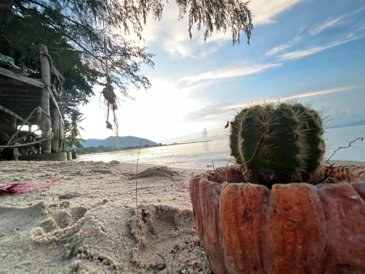 Готель Phangan Dream Box Баан-Тай Екстер'єр фото